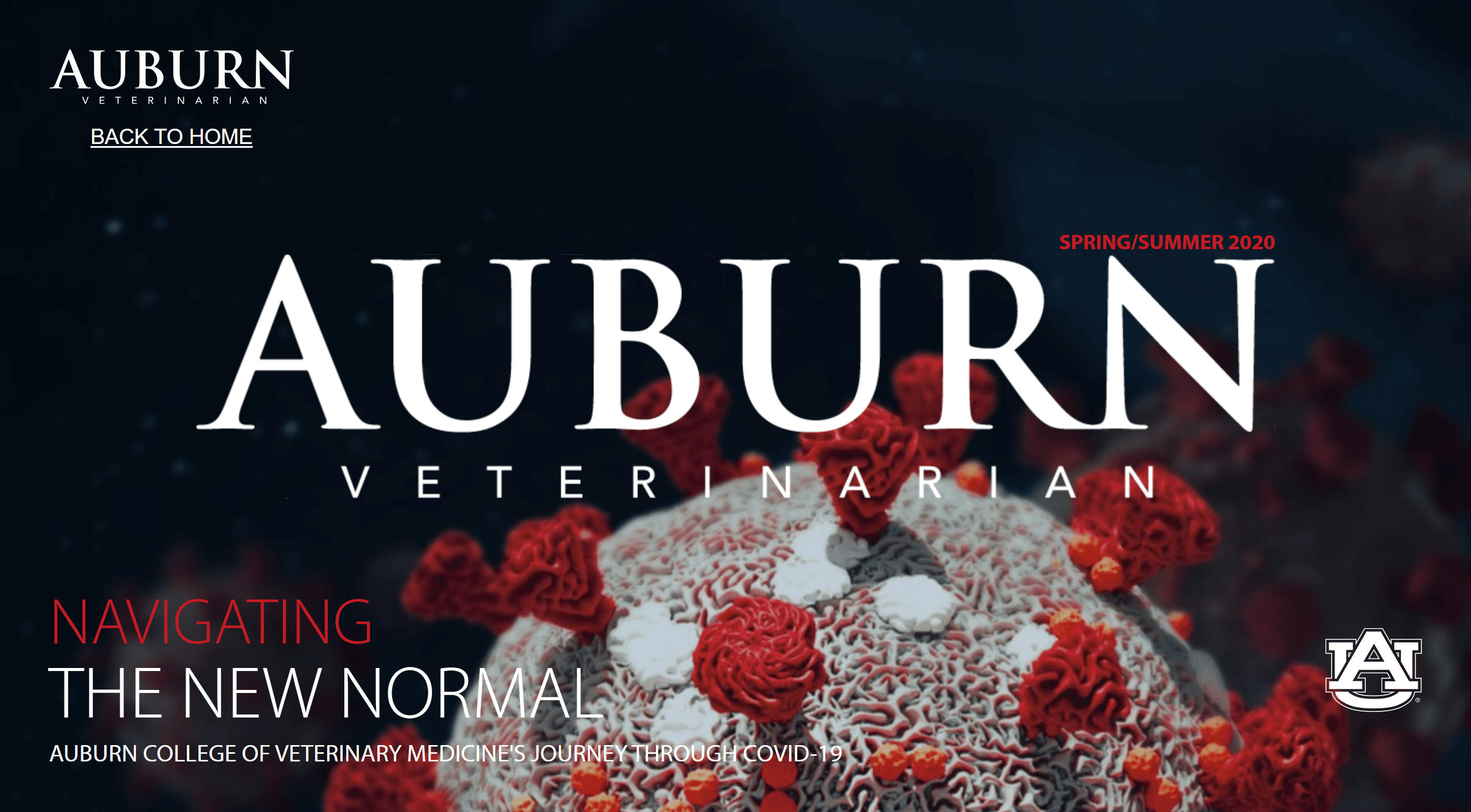 Auburn Veterinary Medicine digital magazine spring-summer edition